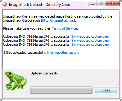 imageshack upload.png